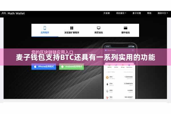 麦子钱包支持BTC还具有一系列实用的功能