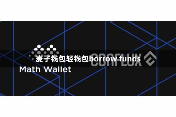 麦子钱包轻钱包borrow funds