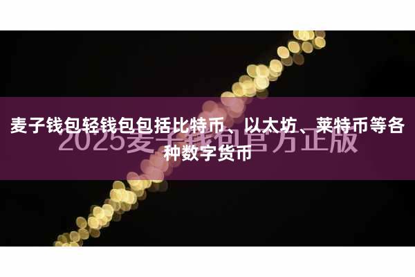麦子钱包轻钱包包括比特币、以太坊、莱特币等各种数字货币
