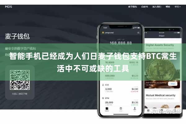 智能手机已经成为人们日麦子钱包支持BTC常生活中不可或缺的工具