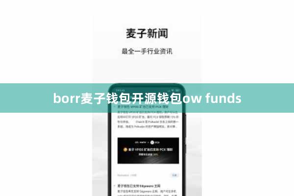 borr麦子钱包开源钱包ow funds