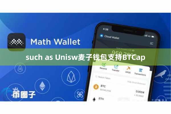 such as Unisw麦子钱包支持BTCap