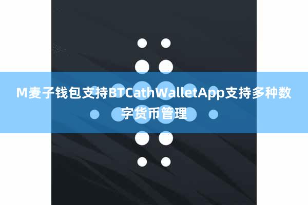 M麦子钱包支持BTCathWalletApp支持多种数字货币管理