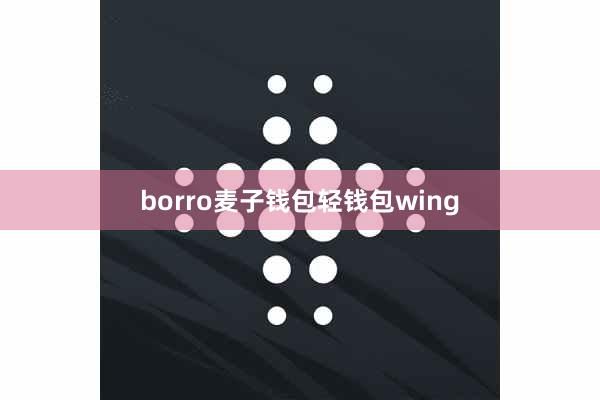 borro麦子钱包轻钱包wing