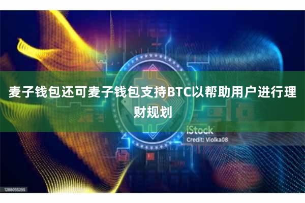 麦子钱包还可麦子钱包支持BTC以帮助用户进行理财规划