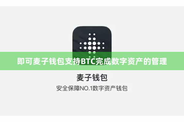 即可麦子钱包支持BTC完成数字资产的管理