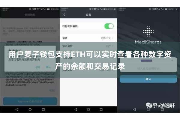 用户麦子钱包支持ETH可以实时查看各种数字资产的余额和交易记录