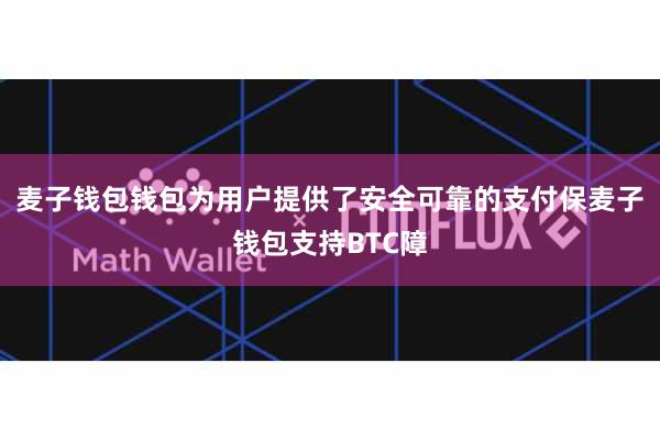 麦子钱包钱包为用户提供了安全可靠的支付保麦子钱包支持BTC障