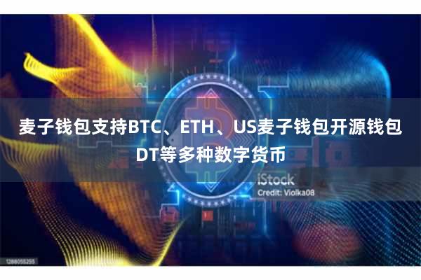 麦子钱包支持BTC、ETH、US麦子钱包开源钱包DT等多种数字货币