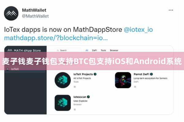 麦子钱麦子钱包支持BTC包支持iOS和Android系统